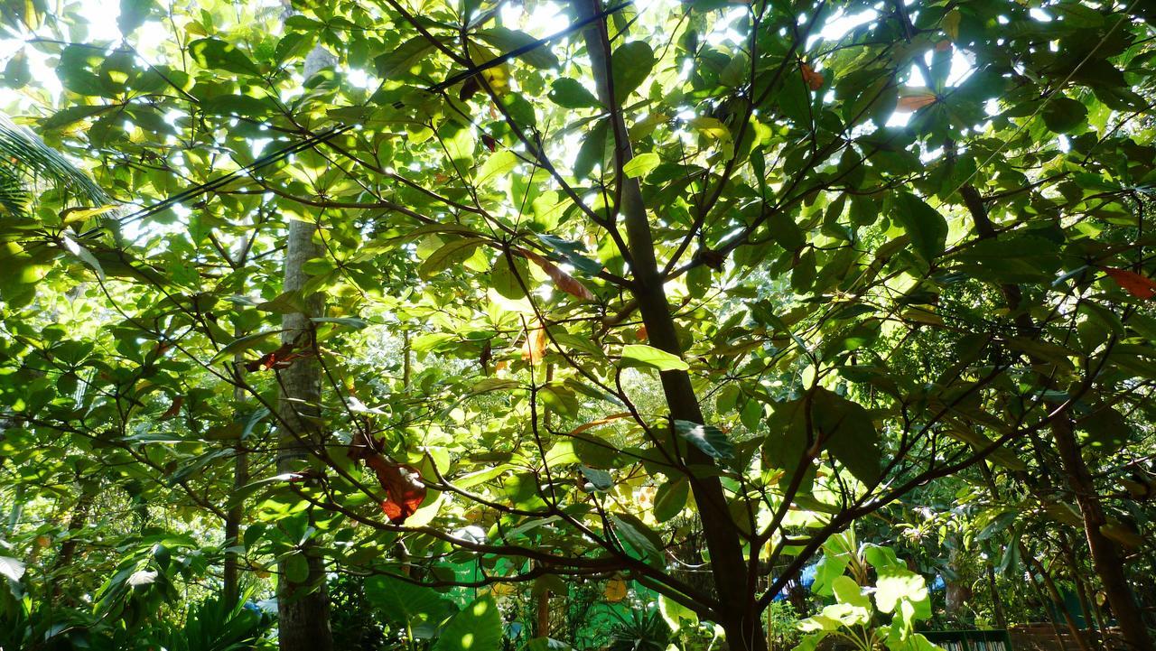 Secret Garden Resort Patnem Beach Ngoại thất bức ảnh